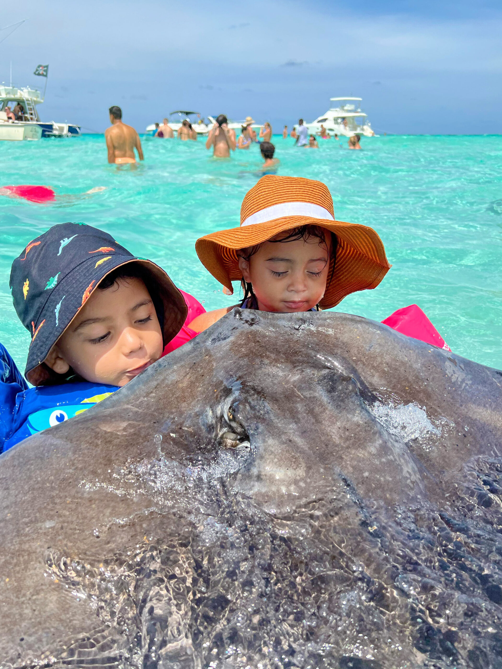 Stingray City Cayman Tours
