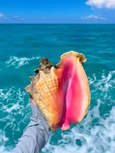 19COAPhotoUPLOAD